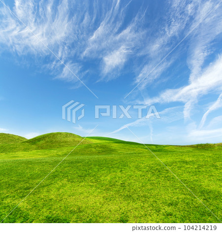 Landscape with green grass field under a blue sky Landscape with green grass field under a blue sky 104214219