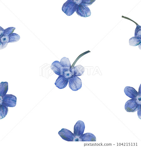 Seamless floral pattern of beautiful little blue forget-me-not flowers isolated on white background. Hand drawn watercolor illustration 104215131