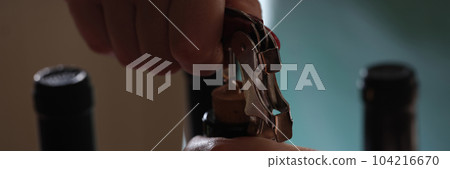 Woman hands holding corkscrew and opening bottle of wine Woman hands holding corkscrew and opening bottle of wine 104216670