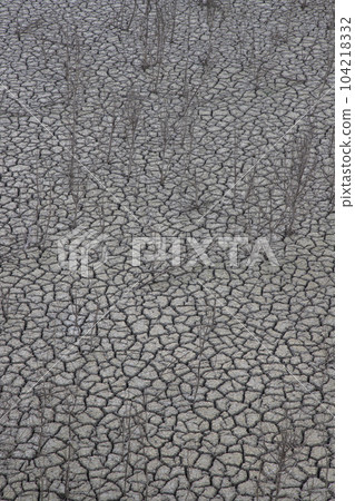 Montrebei canyon in drought period in Catalonia 104218332