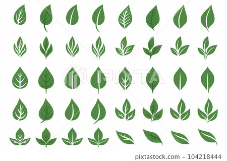 Vector Flat Green Leaf Icon Set Isolated. Leaves Collection, Design Decorative Elements. Spring, Summer Leaves, Plants, Herbs for Logo, Emblem Design. Vector Illustration Vector Flat Green Leaf Icon Set Isolated. Leaves Collection, Design Decorative Elements. Spring, Summer Leaves, Plants, Herbs for Logo, Emblem Design. Vector Illustration 104218444