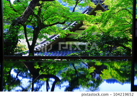 [京都府] 從橫國寺神書院看到的對稱淨土庭園（柳谷觀音）（限定發售） 104219652