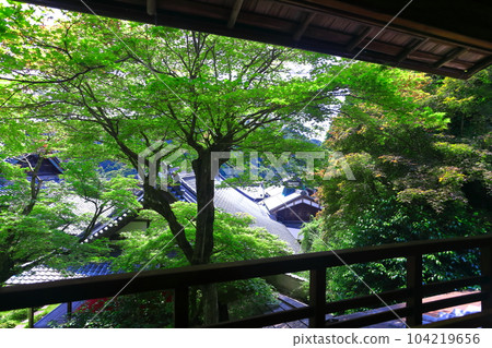 [Kyoto Prefecture] Jodoen seen from the Kamishoin of Yokokuji Temple (Yanagidani Kannon) (Limited release) 104219656
