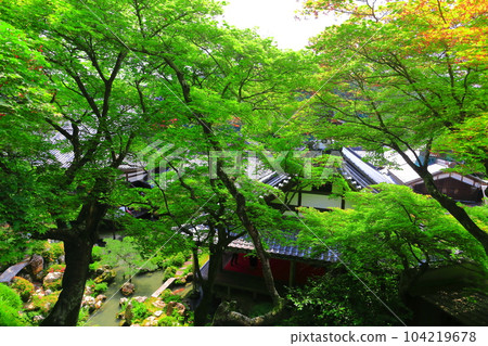 [京都府] 從橫國寺神書院看到的淨土園（柳谷觀音）（限定發售） 104219678