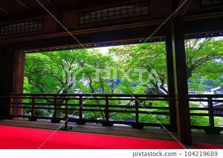 [京都府] 從橫國寺神書院看到的淨土園（柳谷觀音）（限定發售） 104219689