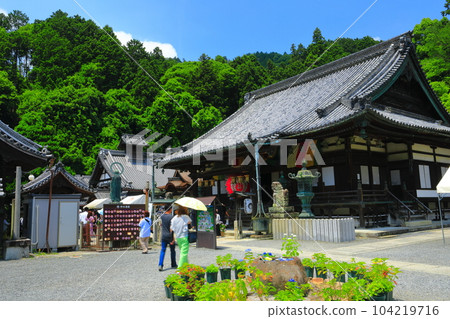 [京都府] 陽光明媚的日子裡盛開的佑國寺本堂（柳谷觀音） 104219716