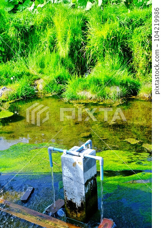 北海道真狩村的“羊蹄山泉水”風景 104219986