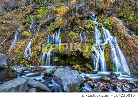 "Yamanashi Prefecture" Toryu Falls in late autumn Hokuto City 104220010