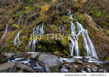 "Yamanashi Prefecture" Toryu Falls in late autumn Hokuto City "Yamanashi Prefecture" Toryu Falls in late autumn Hokuto City 104220011