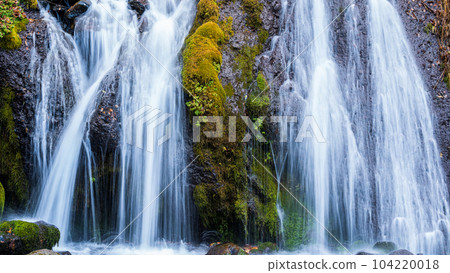 "Yamanashi Prefecture" Toryu Falls in late autumn Hokuto City "Yamanashi Prefecture" Toryu Falls in late autumn Hokuto City 104220018