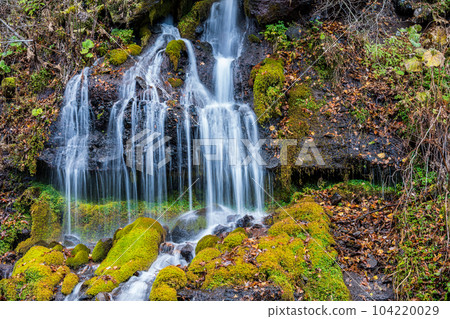 "Yamanashi Prefecture" Toryu Falls in late autumn Hokuto City 104220029