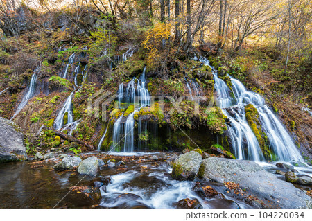 "Yamanashi Prefecture" Toryu Falls in late autumn Hokuto City 104220034