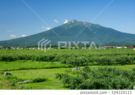 津輕蘋果農場和岩木山 津輕蘋果農場和岩木山 104220115