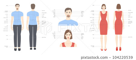Diagram of woman and man head and body with names, parts of the face text labeled fashion Illustration Infographic Diagram of woman and man head and body with names, parts of the face text labeled fashion Illustration Infographic 104220539