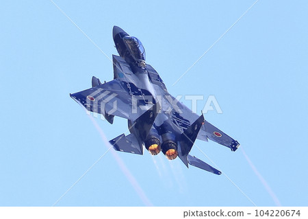 F-15 Fighter (Aggressor Squadron) 104220674