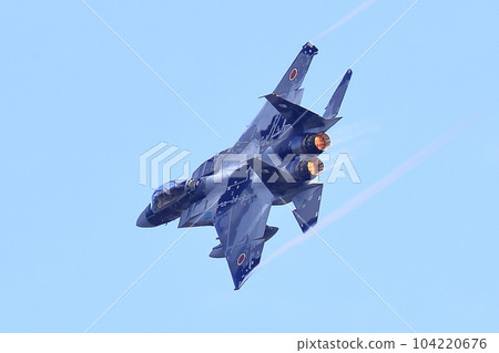 F-15 Fighter (Aggressor Squadron) 104220676