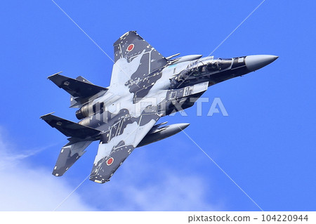 F-15 Fighter (Aggressor Squadron) F-15 Fighter (Aggressor Squadron) 104220944