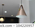 A cream-colored cone lamp hangs from the ceiling to provide light. 104220957