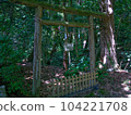 Torii in the forest 104221708
