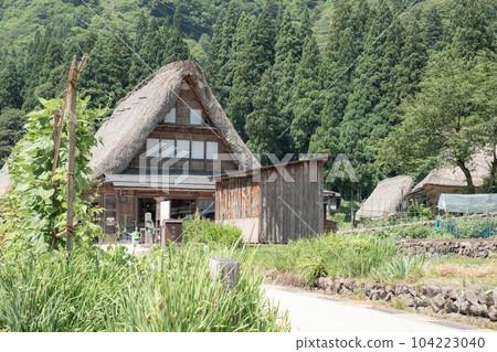 五箇山/相倉合掌造村（夏季） 104223040