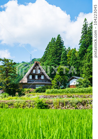 Gokayama / Ainokura Gassho-zukuri Village (Summer) Gokayama / Ainokura Gassho-zukuri Village (Summer) 104223045