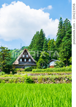 五箇山/相倉合掌造村（夏季） 104223056