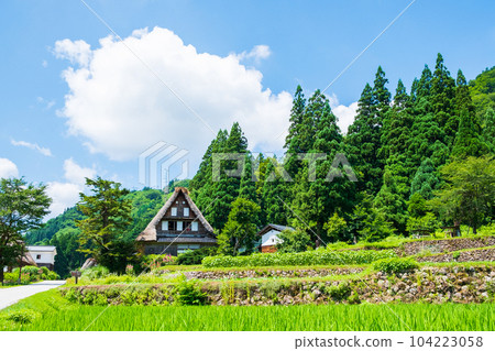 五箇山/相倉合掌造村(夏季) 五箇山/相倉合掌造村(夏季) 104223058