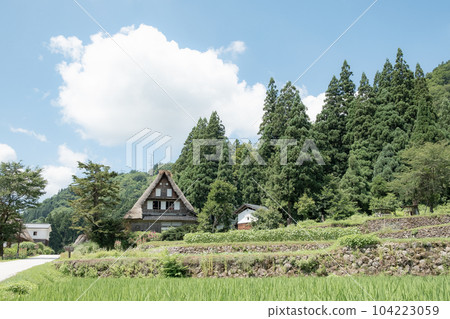 五箇山/相倉合掌造村(夏季) 五箇山/相倉合掌造村(夏季) 104223059