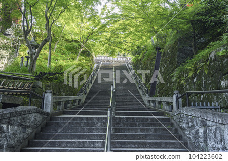Kiyomizu-dera stone steps surrounded by fresh greenery Kiyomizu-dera stone steps surrounded by fresh greenery 104223602