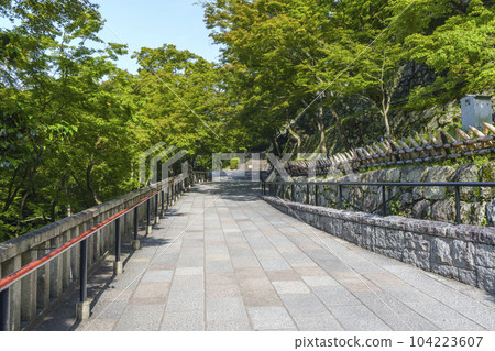 綠意盎然的清水寺境內的道路 綠意盎然的清水寺境內的道路 104223607