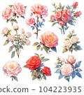 水彩風格的玫瑰花 104223935