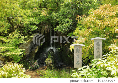 World Heritage Kinkakuji (Rokuonji) Ryumon Falls Carp Stone 104223997