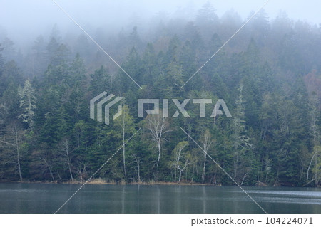 This is a photograph of a white birch standing on the shore of Lake Chimikeppu in the morning mist in Tsubetsu Town, Hokkaido. This is a photograph of a white birch standing on the shore of Lake Chimikeppu in the morning mist in Tsubetsu Town, Hokkaido. 104224071