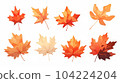 水彩風格楓葉插圖集 104224204