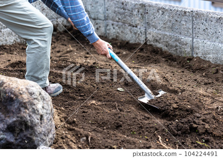 felling garden trees felling garden trees 104224491