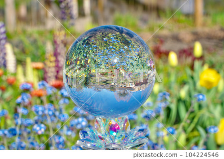 [English garden (crystal ball)] Yanagasaki, Otsu City, Shiga Prefecture 104224546