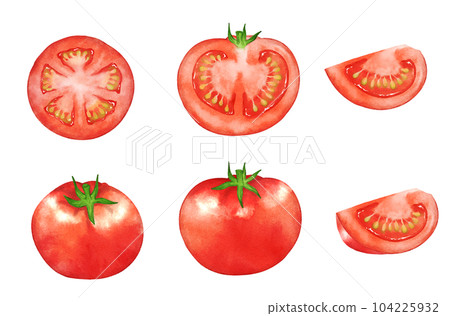 模擬水彩風格的西紅柿集 模擬水彩風格的西紅柿集 104225932