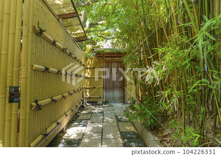 "Yuzuriai no Michi", a path leading from the main hall of Zenkyoan to the garden 104226331