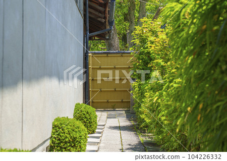 "Yuzuriai no Michi", a path leading from the main hall of Zenkyoan to the garden "Yuzuriai no Michi", a path leading from the main hall of Zenkyoan to the garden 104226332