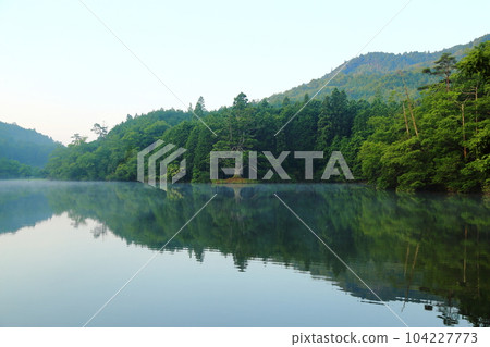 岩王池一本杉（滋賀縣指定天然紀念物）/滋賀縣甲賀市 104227773