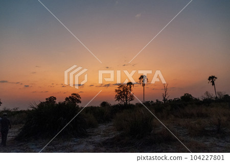 Sunset over the Okavango Sunset over the Okavango 104227801