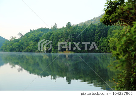 岩王池一本杉（滋賀縣指定天然紀念物）/滋賀縣甲賀市 104227905