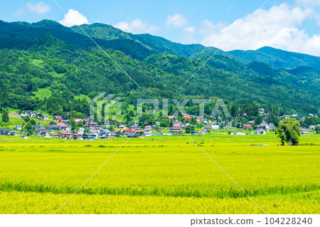 夏季鄉村景觀（8月） 104228240