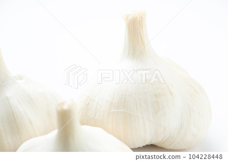 garlic. (White background) 104228448