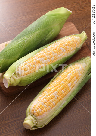 Corn 104228528