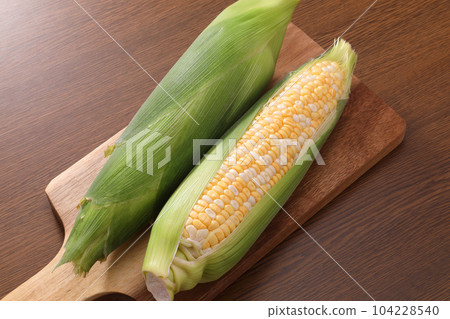 玉米 玉米 104228540