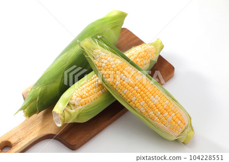 Corn 104228551