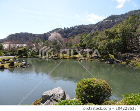 遊覽京都櫻花天龍寺 遊覽京都櫻花天龍寺 104228635