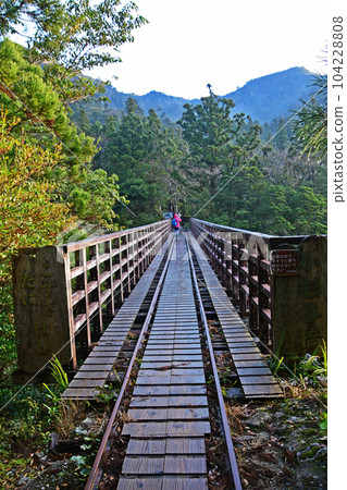 Yakusugi virgin forest, Jomonsugi trekking course Yakusugi virgin forest, Jomonsugi trekking course 104228808