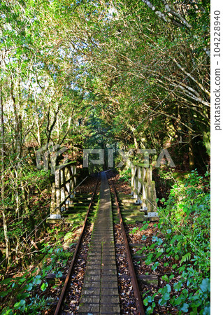 屋久杉原始森林、繩文杉徒步路線 屋久杉原始森林、繩文杉徒步路線 104228940